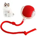 Smart Interactive Pet Toy Ball