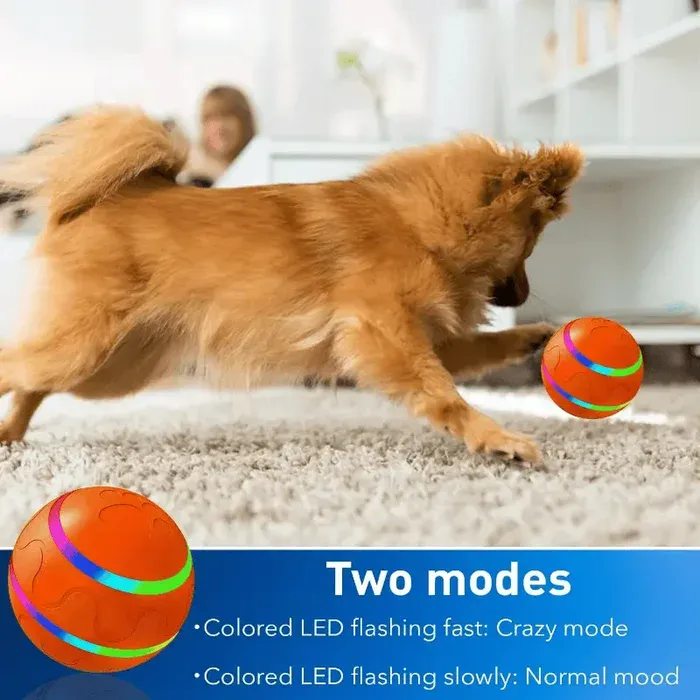 Pet gift idea