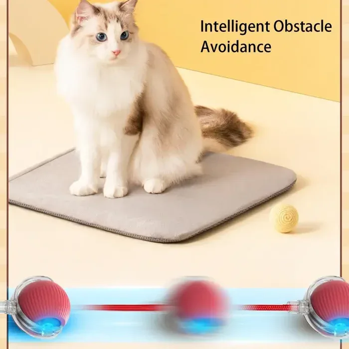 Obstacle Avoidance Pet Toy
