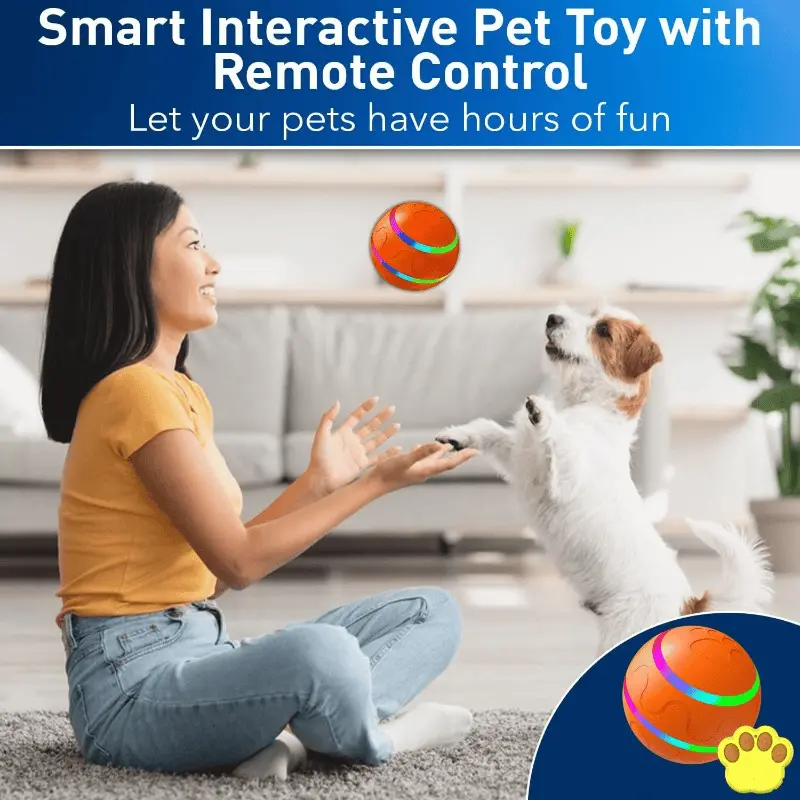 Pet playing with ball