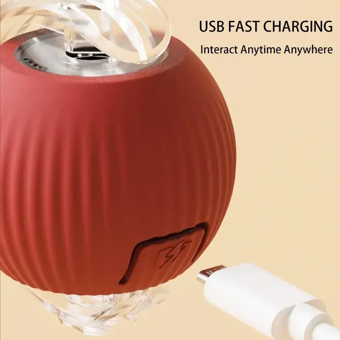 USB Charging Pet Toy