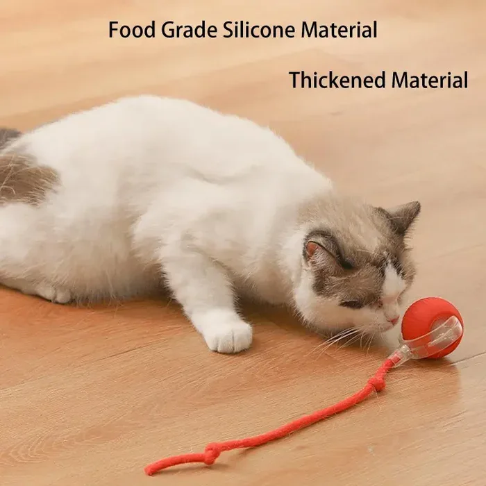 Durable Pet Toy Material